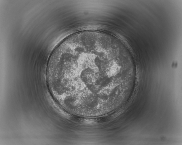 X0000110880794200907161500