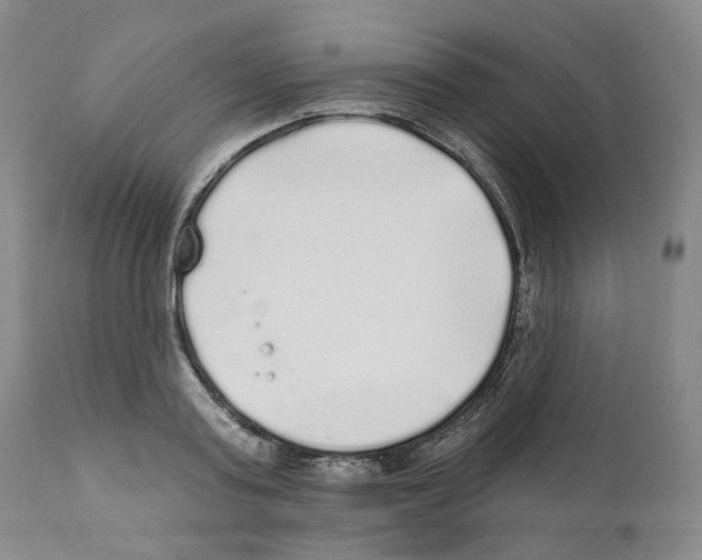 X0000110880795200907161500