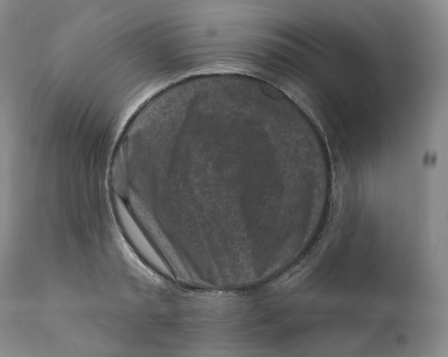 X0000110880797200907161500