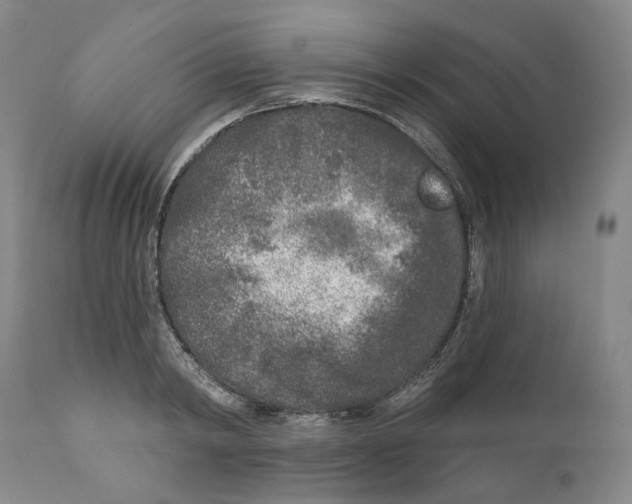 X0000110880798200907161500