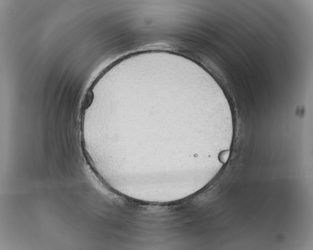 X0000110880800200907161500