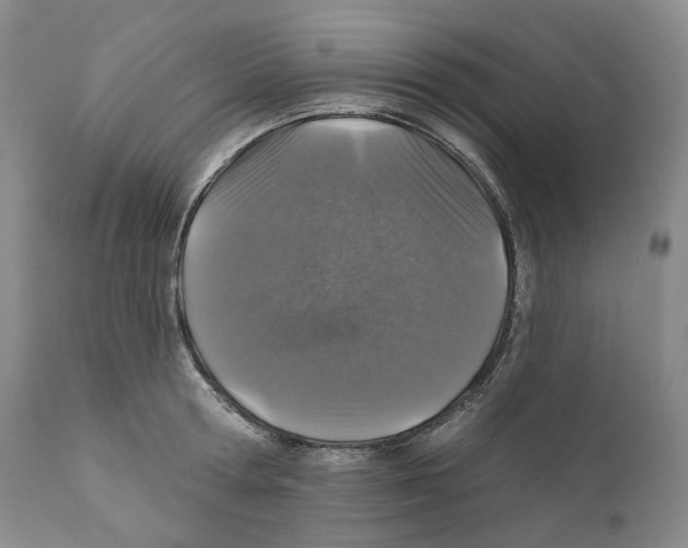 X0000110880802200907161500