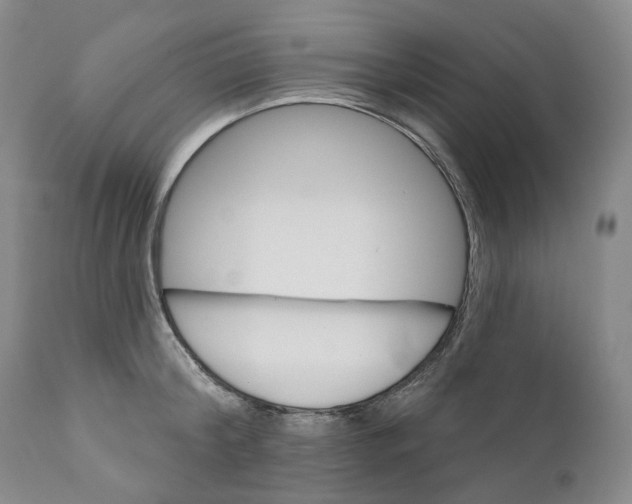 X0000110880804200907161500