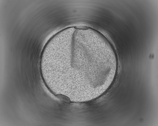 X0000110880805200907161500