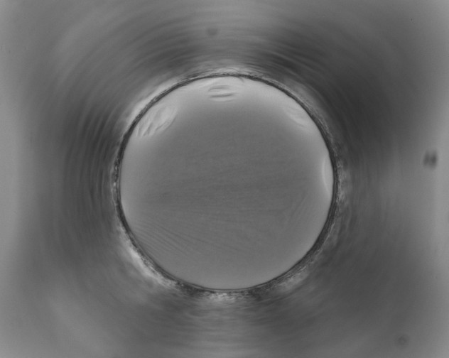 X0000110880806200907161500