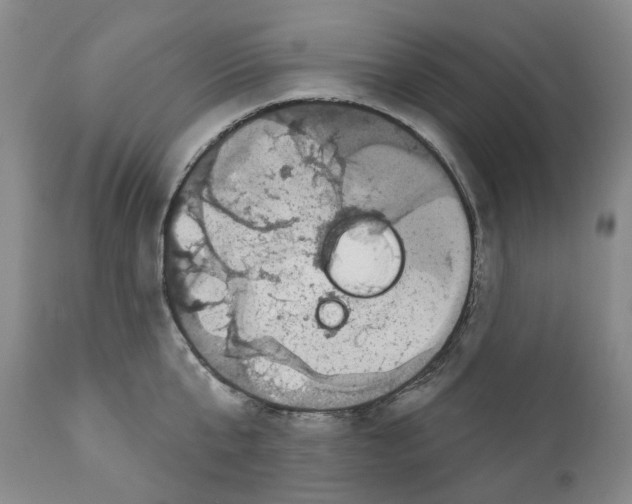 X0000110880807200907161500