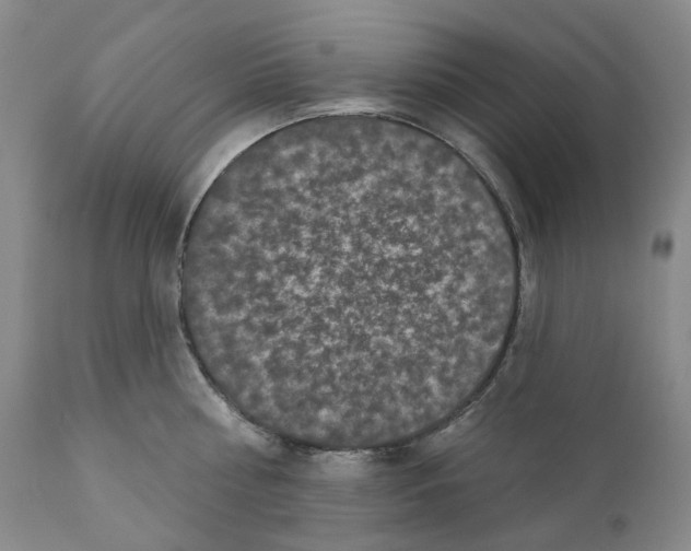 X0000110880810200907161500