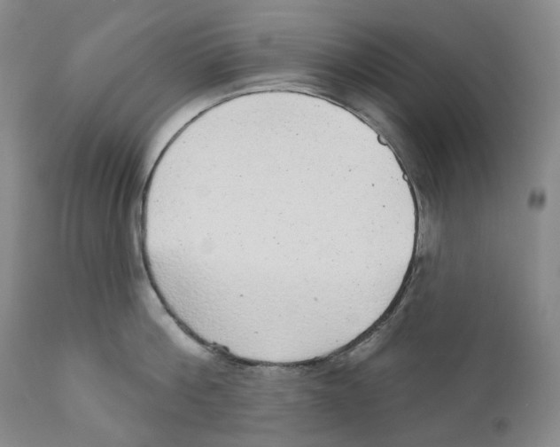 X0000110880812200907161500