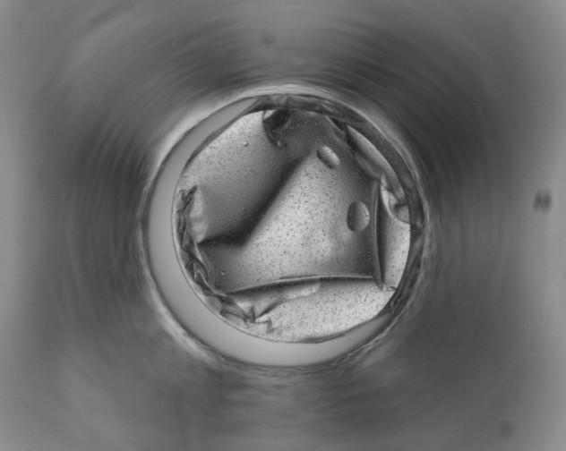 X0000110880813200907161500