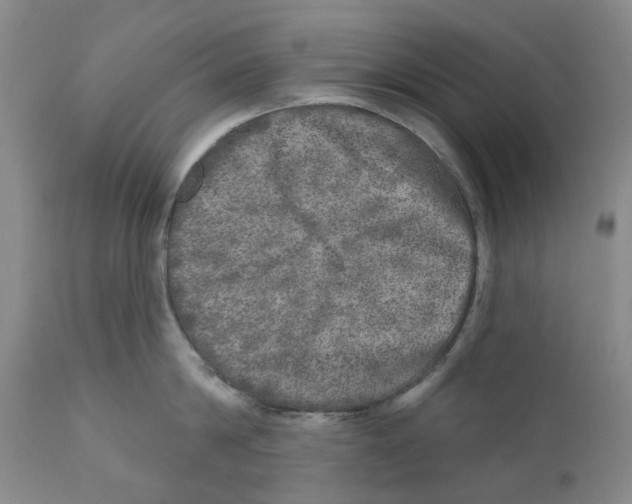 X0000110880814200907161500