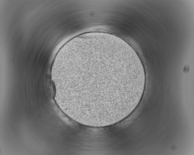 X0000110880816200907161500