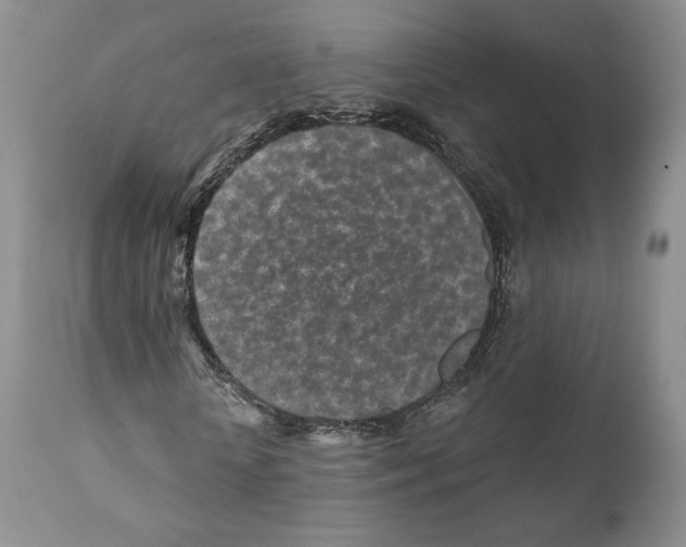 X0000110880818200907161459