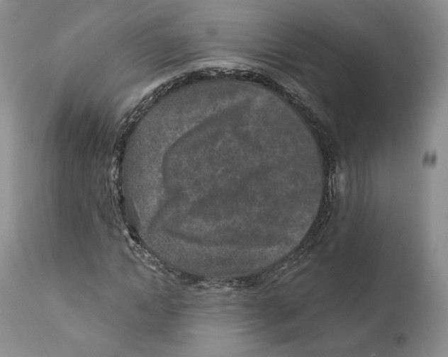 X0000110880822200907161459