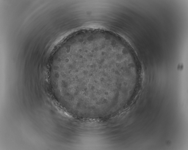 X0000110880823200907161459