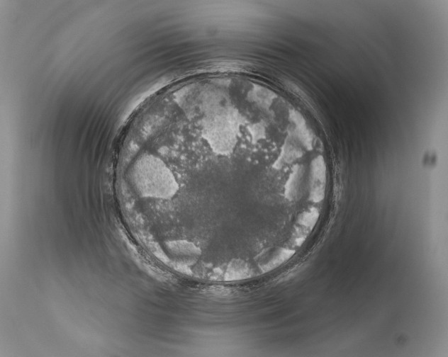 X0000110880827200907161459