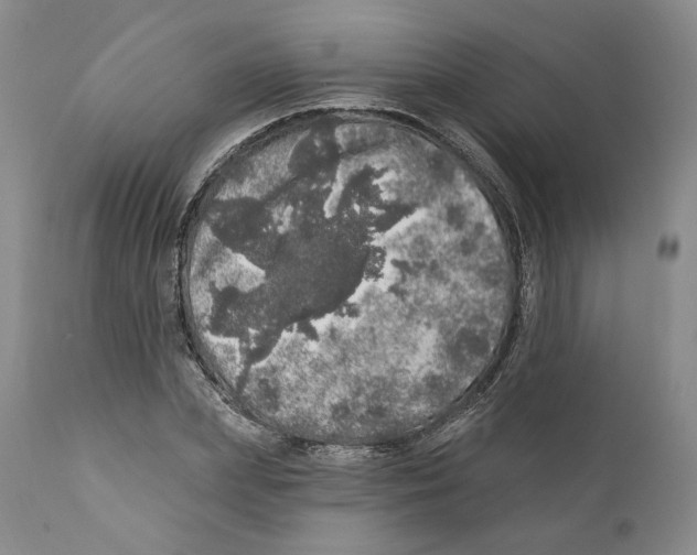 X0000110880831200907161459