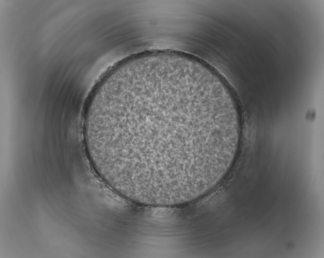 X0000110880832200907161459