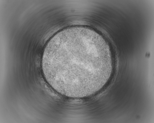 X0000110880833200907161459