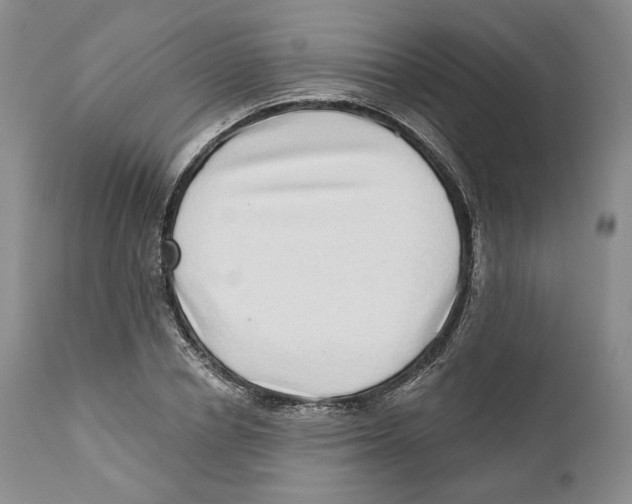 X0000110880834200907161459