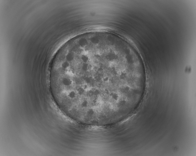 X0000110880835200907161459