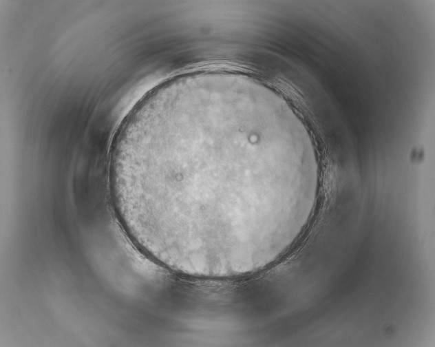 X0000110880836200907161459