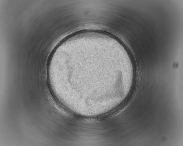 X0000110880837200907161459