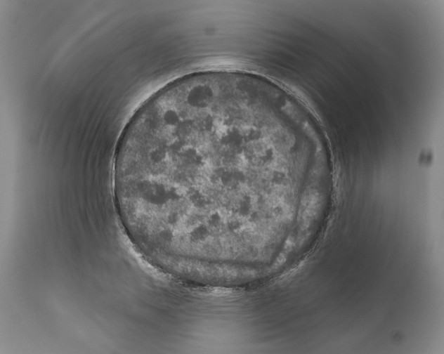 X0000110880839200907161500