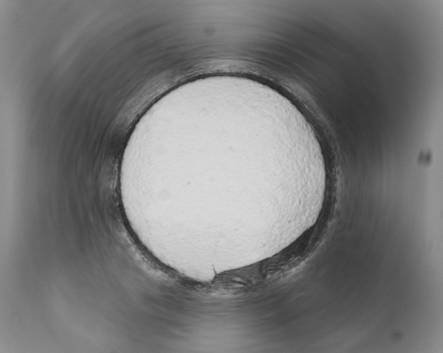 X0000110880841200907161500