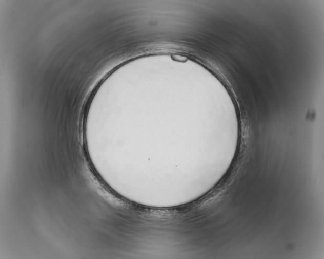 X0000110880843200907161500