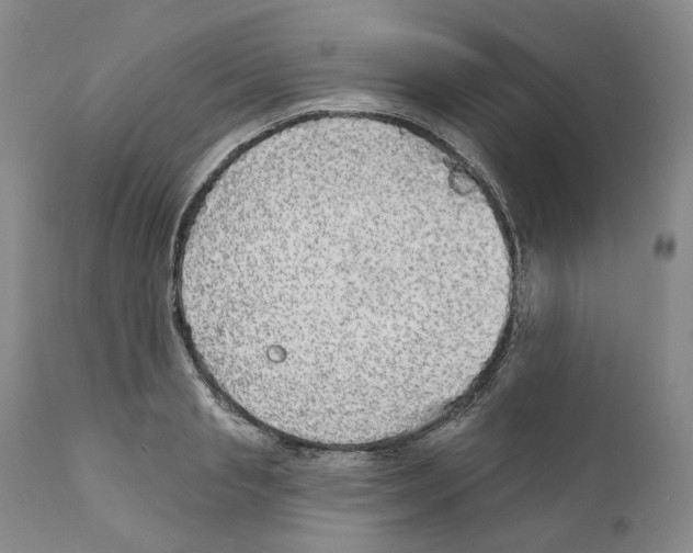 X0000110880845200907161500