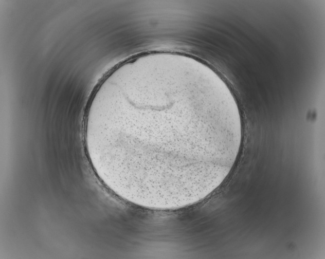 X0000110880848200907161500