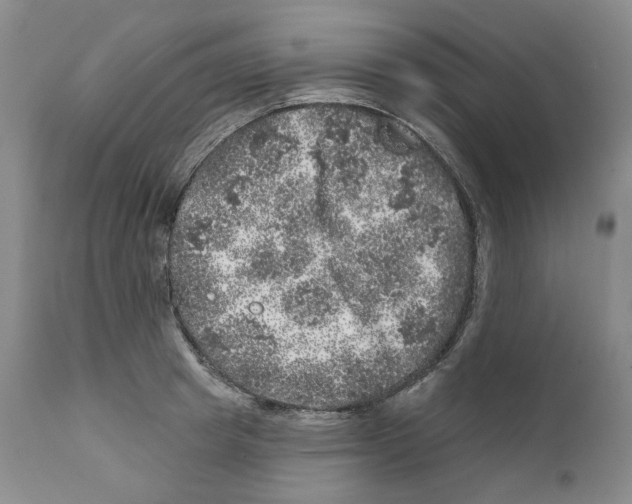 X0000110880849200907161500