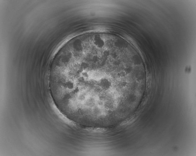 X0000110880851200907161500