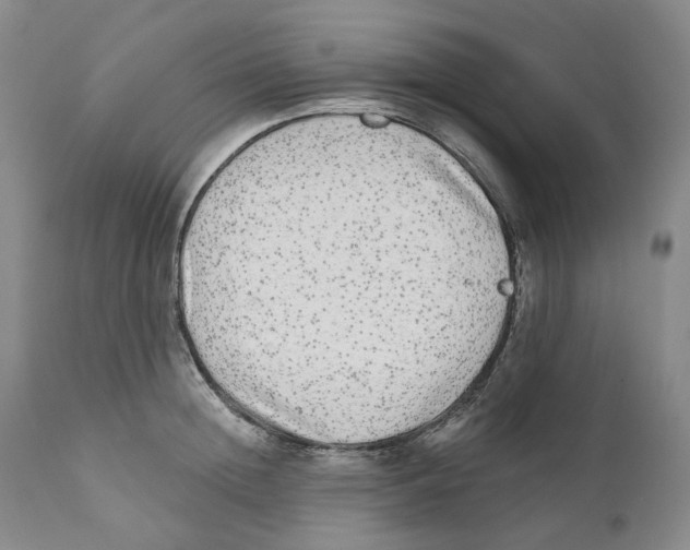 X0000110880852200907161500