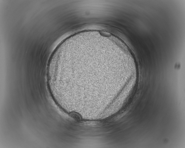 X0000110880853200907161500