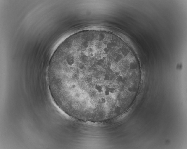 X0000110880855200907161500