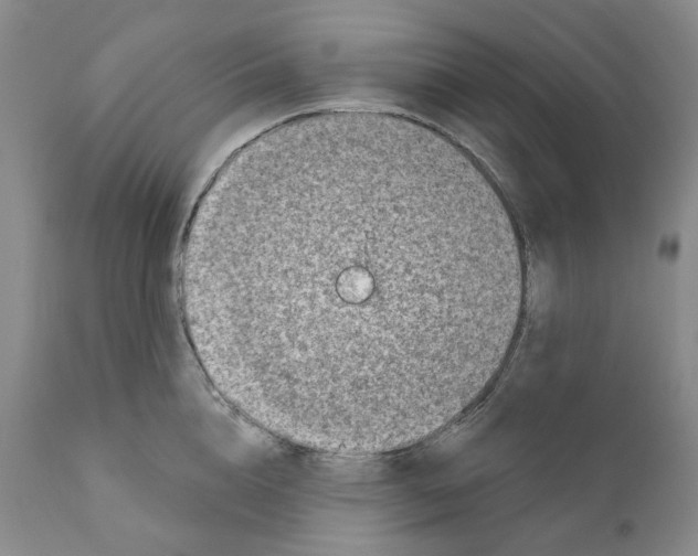 X0000110880856200907161500