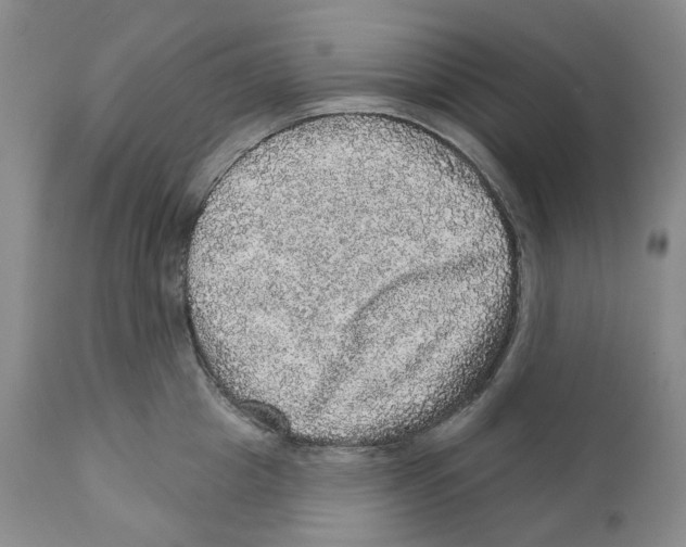 X0000110880857200907161500