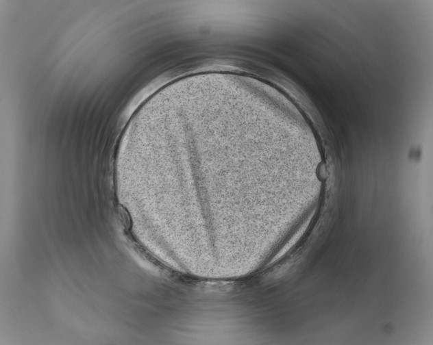 X0000110880858200907161500