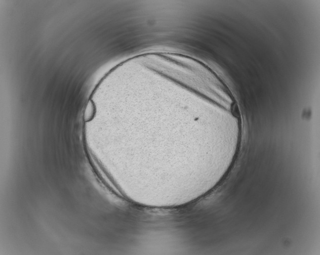 X0000110880862200907161500