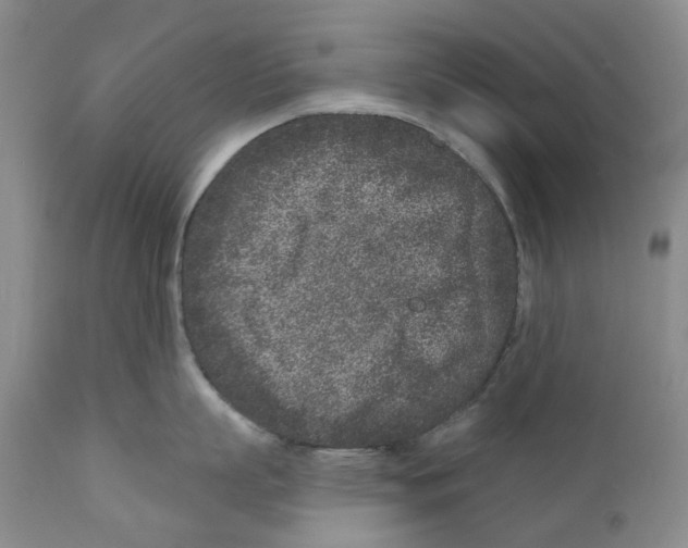 X0000110880863200907161500