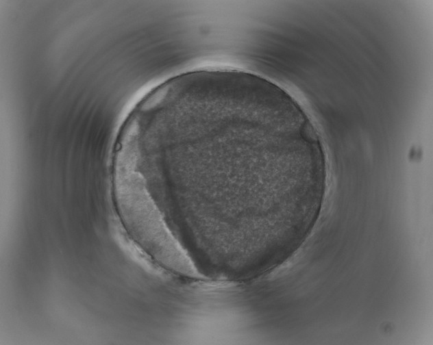 X0000110880864200907161500