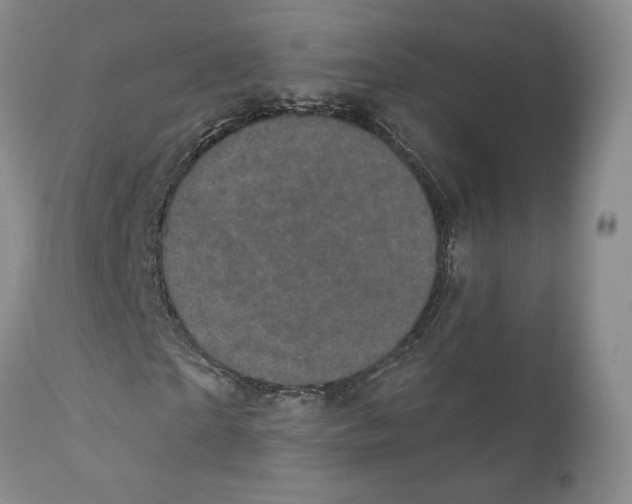 X0000110880865200907161459