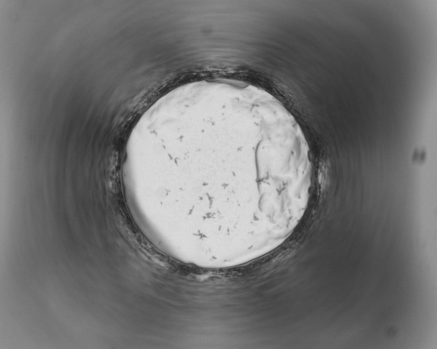 X0000110880867200907161459