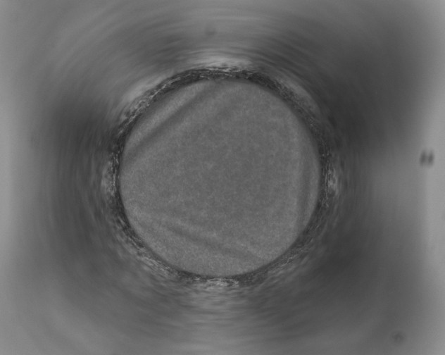 X0000110880869200907161459