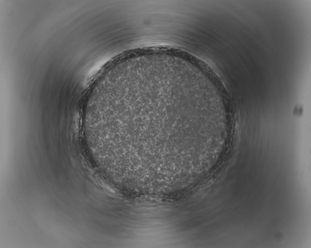 X0000110880871200907161459