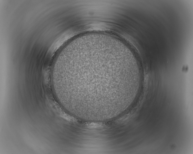 X0000110880874200907161459