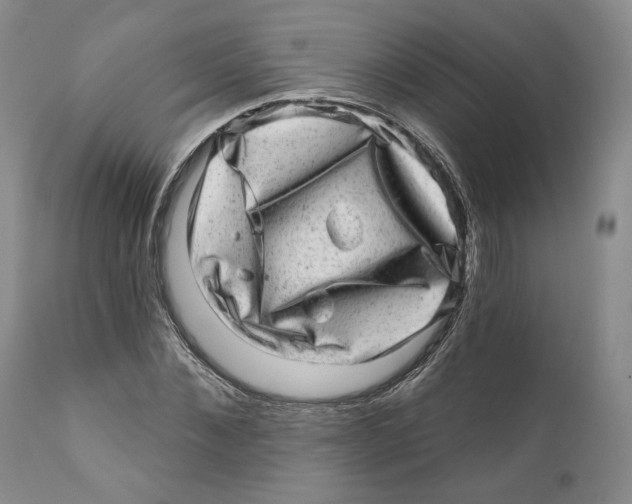 X0000110880876200907161459