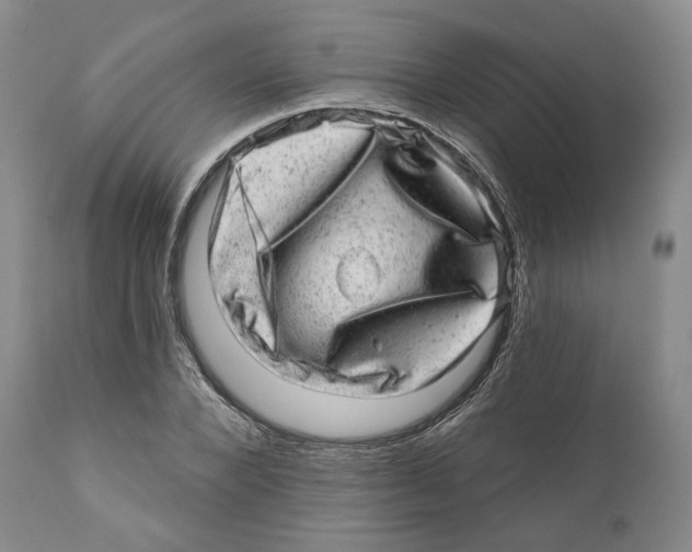 X0000110880880200907161459