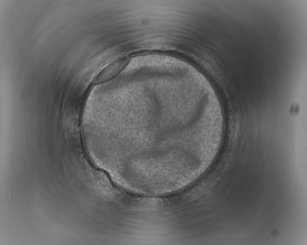 X0000110880881200907161459